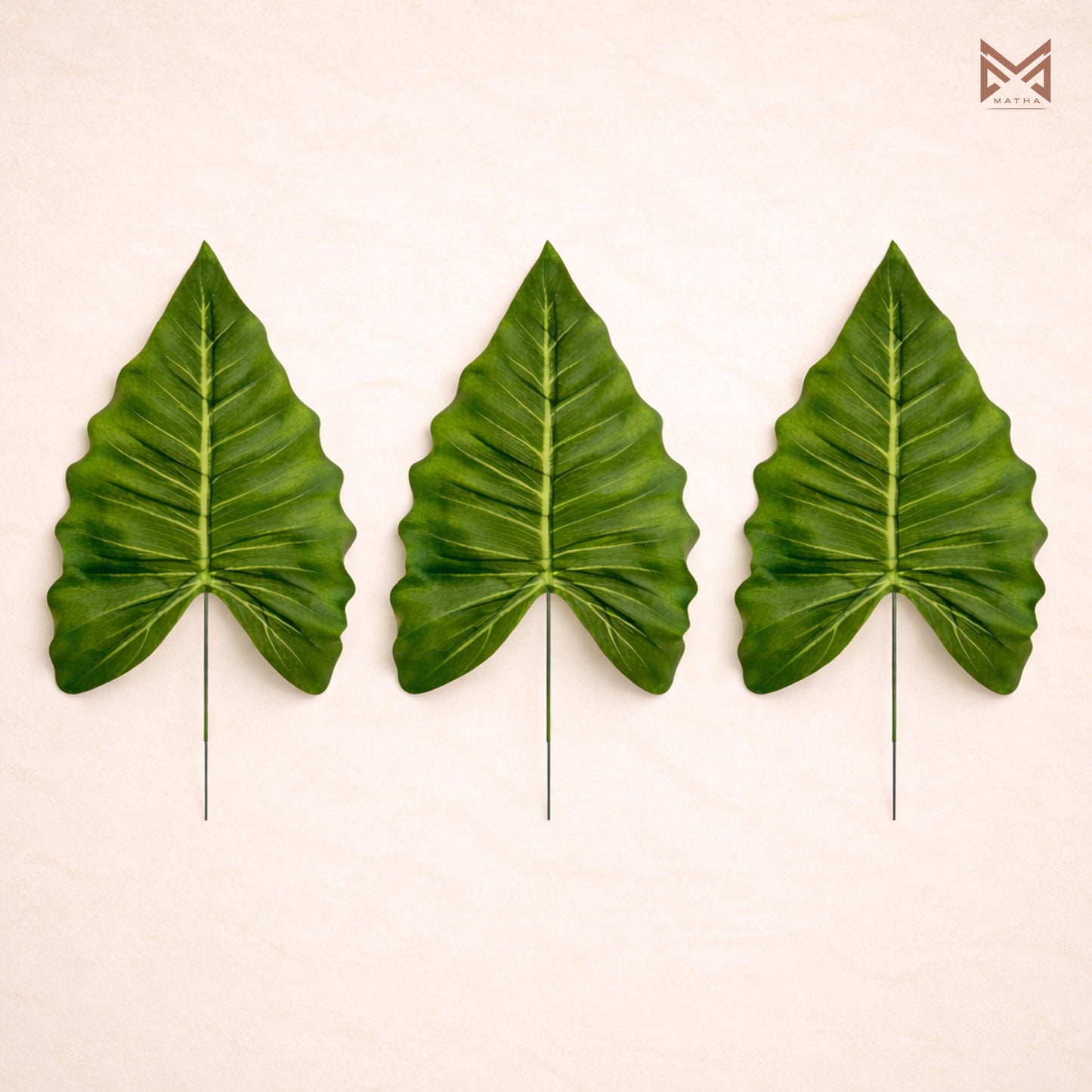 Alocasia Leaf Pack of 6Pcs