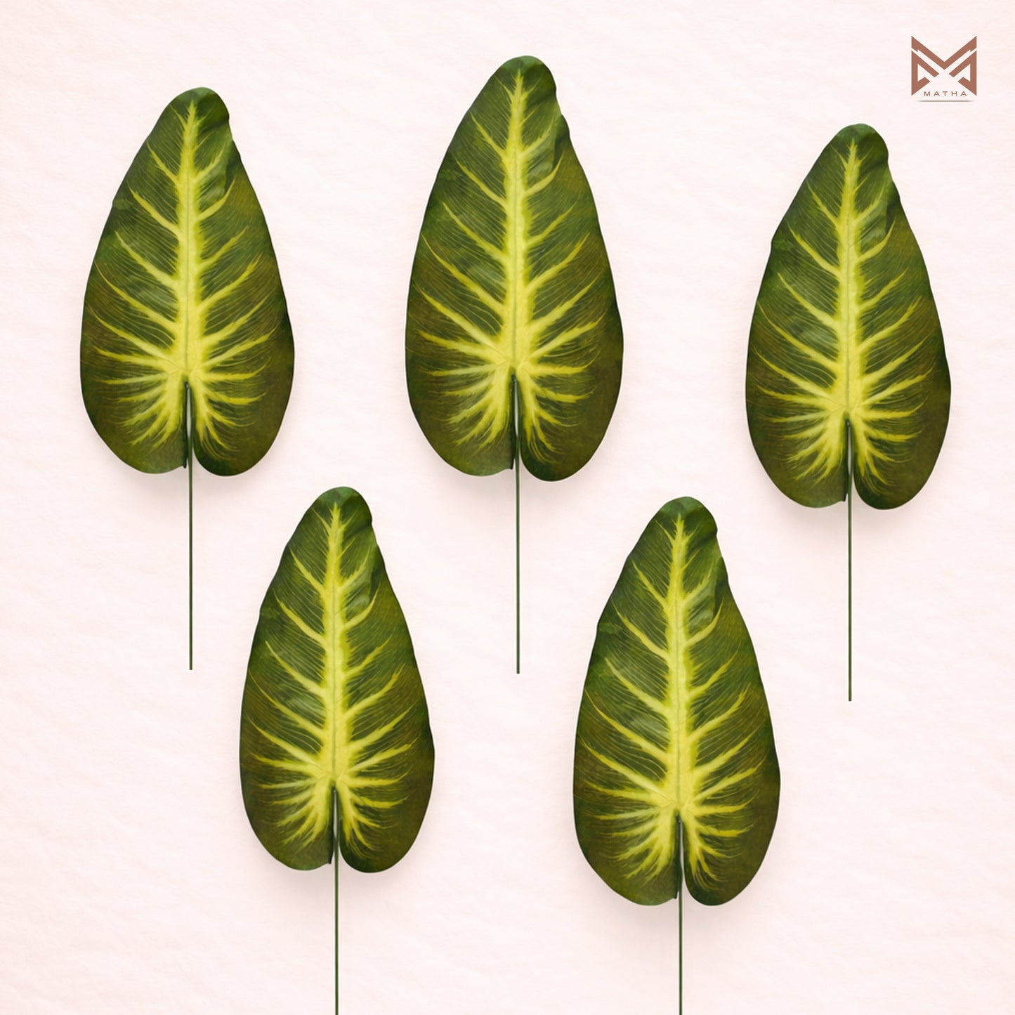 Alocasia Leaf | Pack of 6 pcs