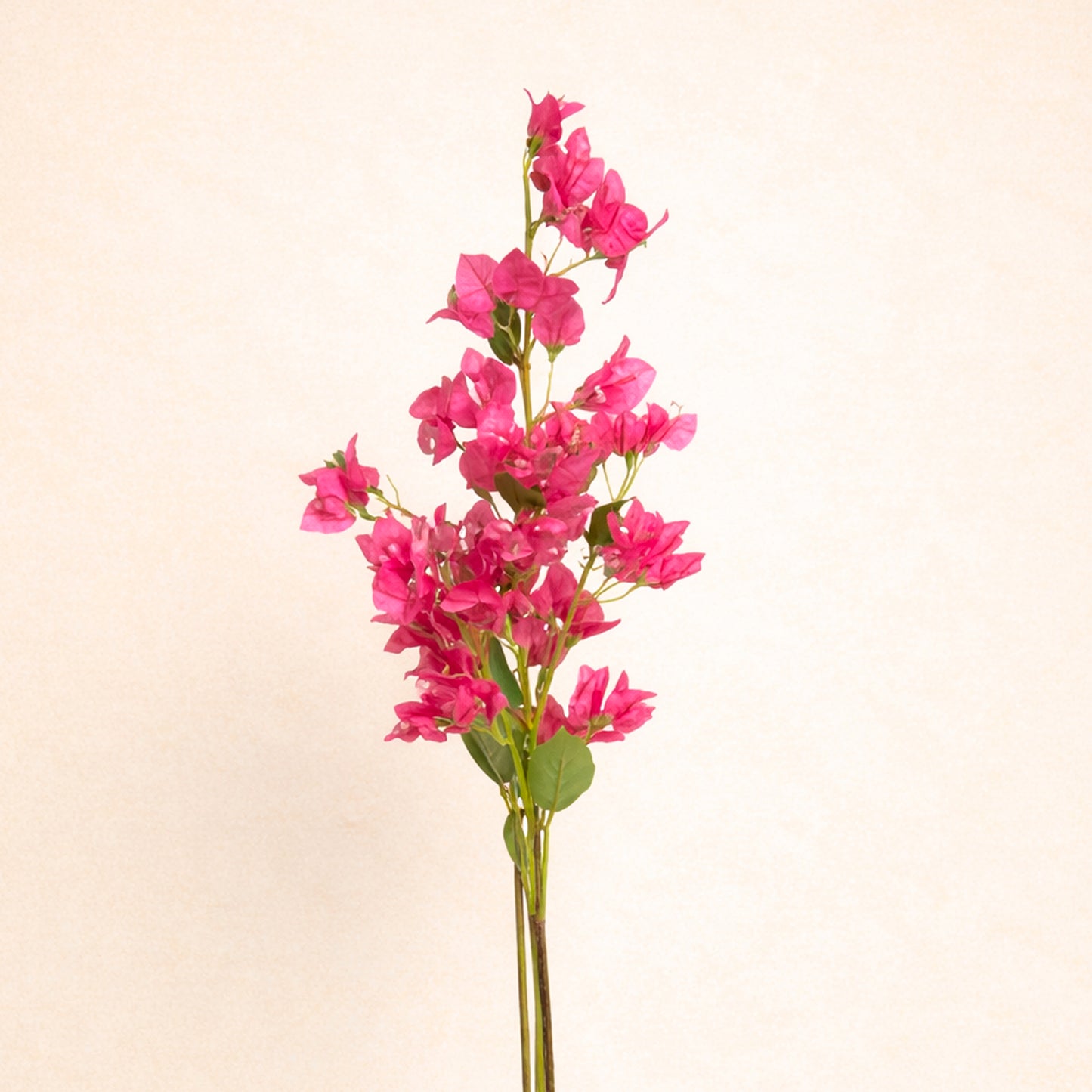 Bougainvillea Flower Stick | Set of 2 Pcs