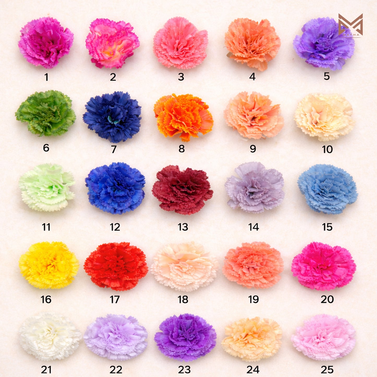 Carnation Heads