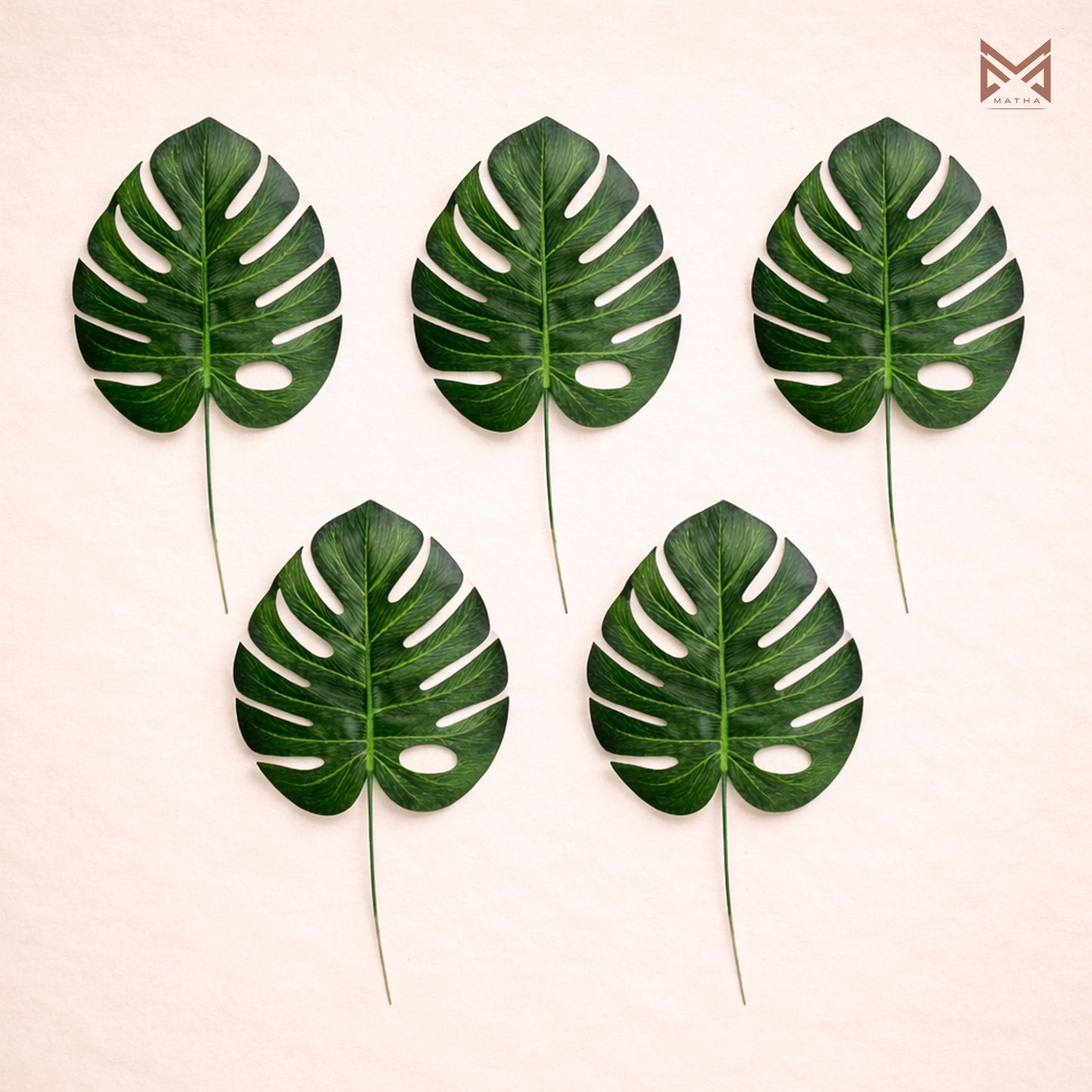 Monstera Leaf 9Inches Pack of 6 Pcs