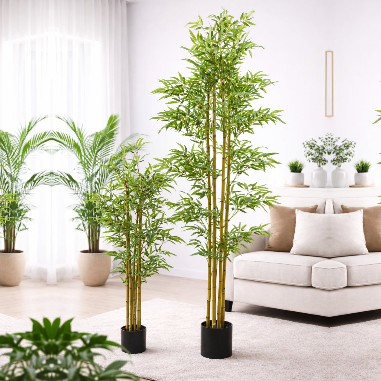 Bamboo Tree 6Ft