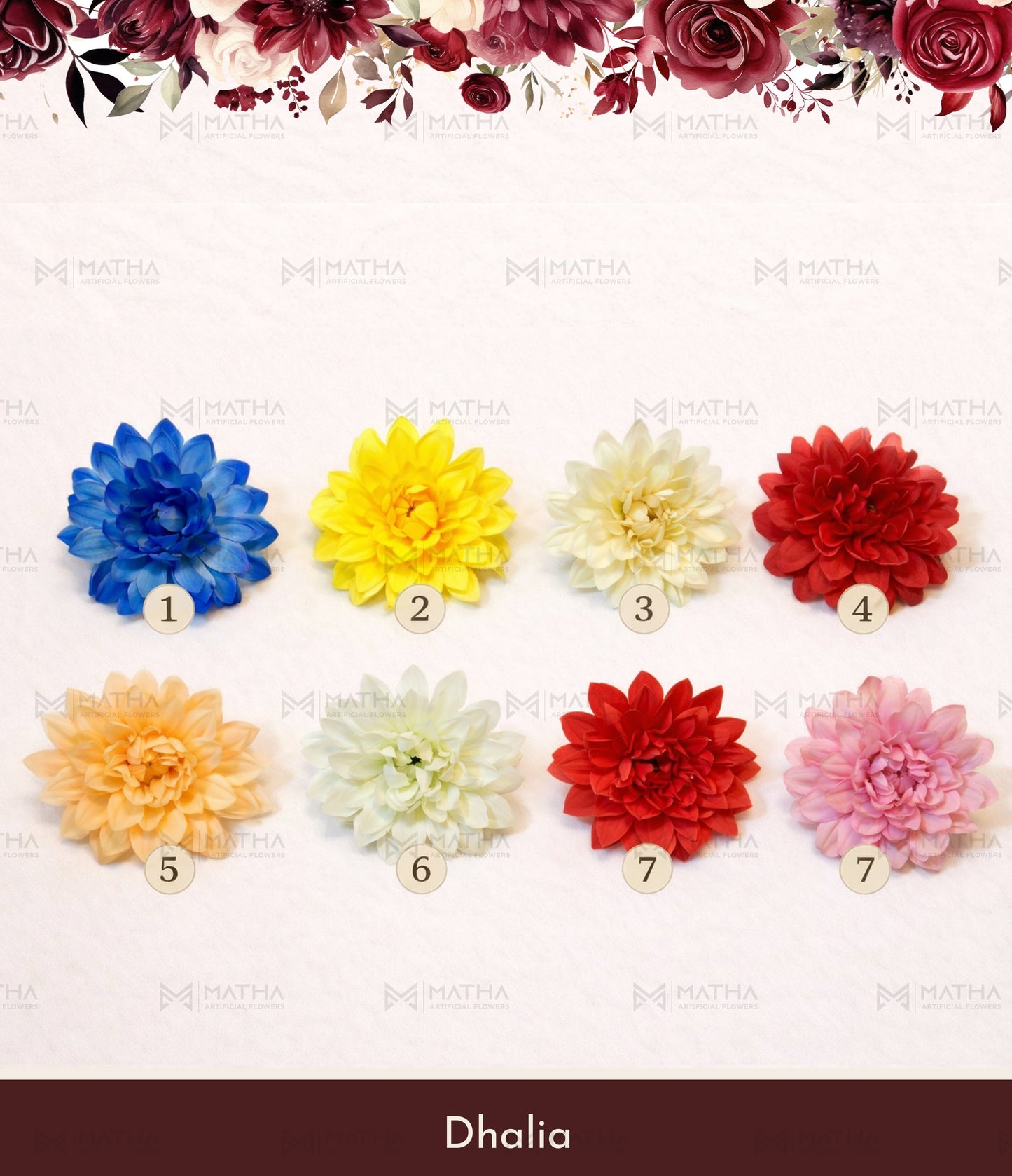 Dhalia | 3 Inch