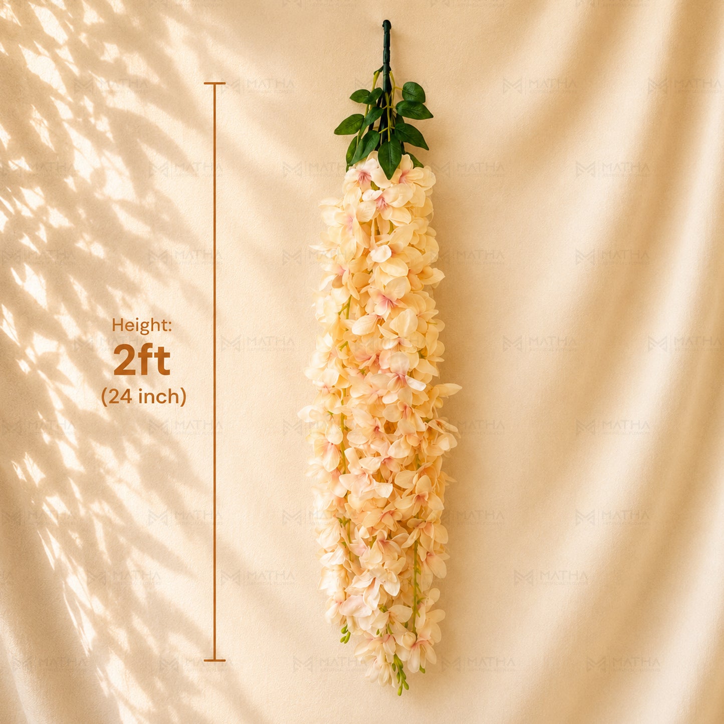 Orchid Hanging | 2Ft
