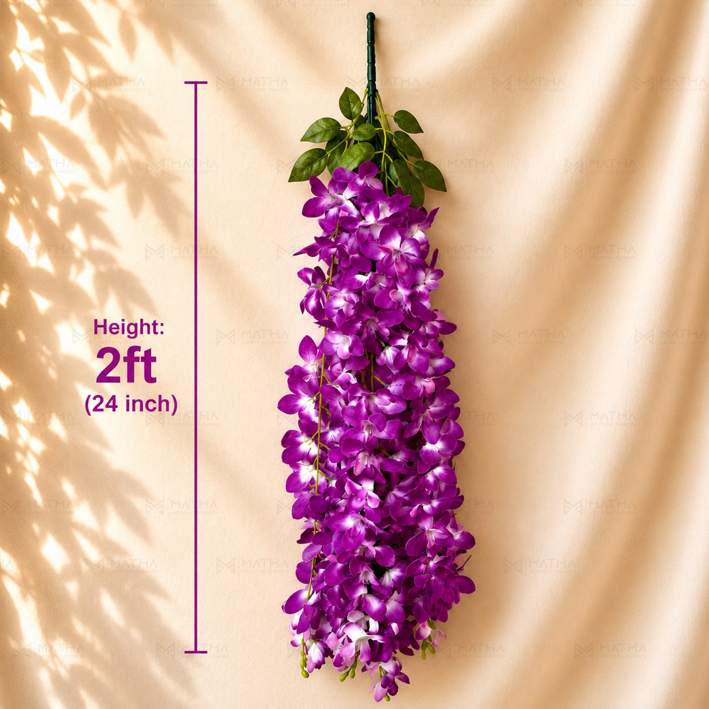 Orchid Hanging | 2Ft