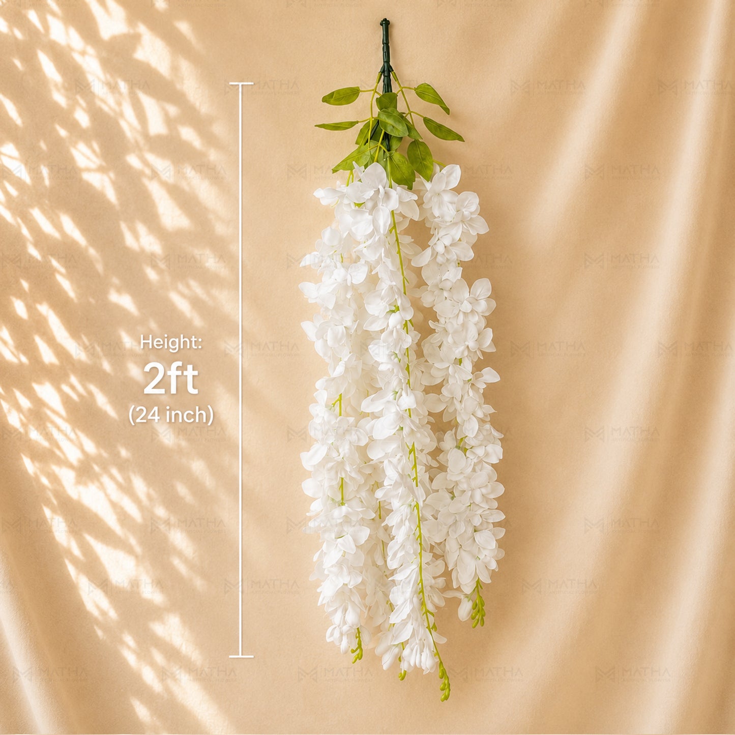 Orchid Hanging | 2Ft