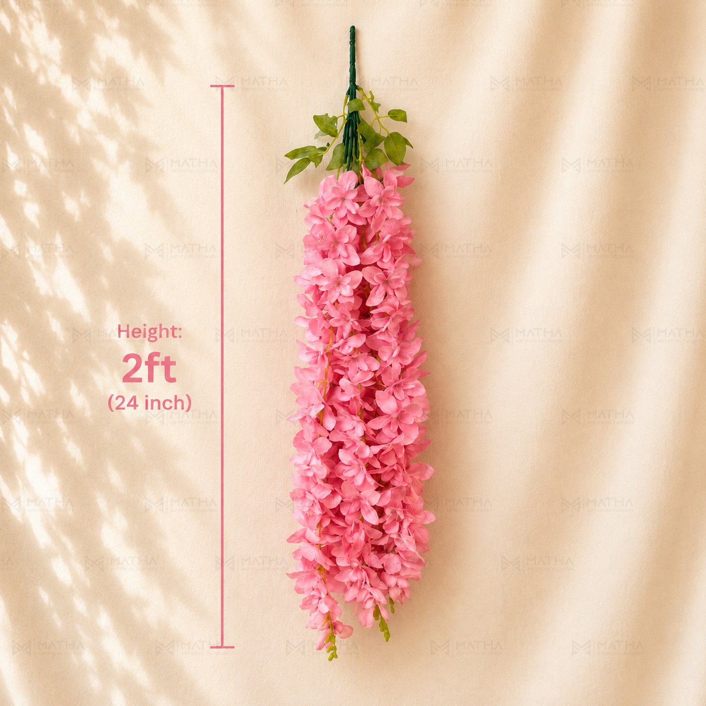 Orchid Hanging | 2Ft