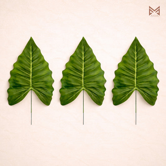 Alocasia Leaf Pack of 6Pcs