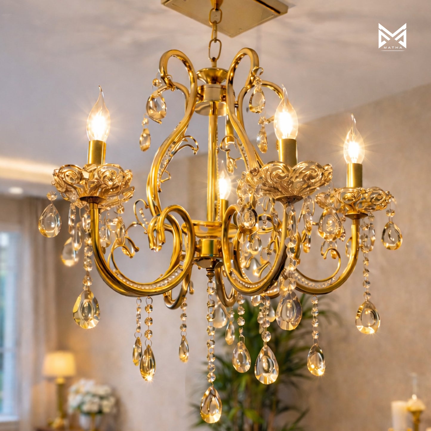 Antique Chandilier Glass with Metal | 5 Bulbs