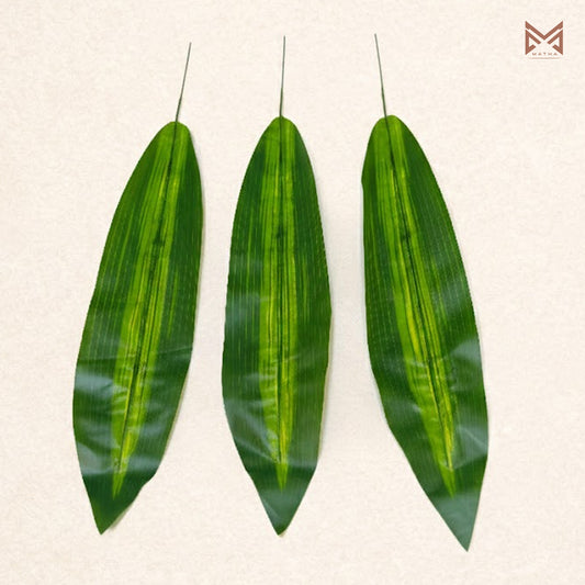 Dracaena Leaf | Pack of 6