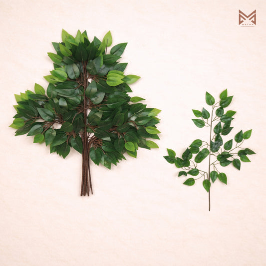 Ficus Leaf Pack of 12 Pcs