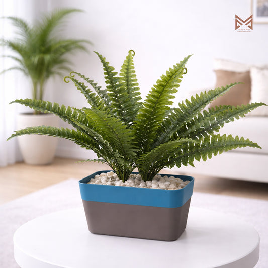 Lush Boston Fern | 20 Inches