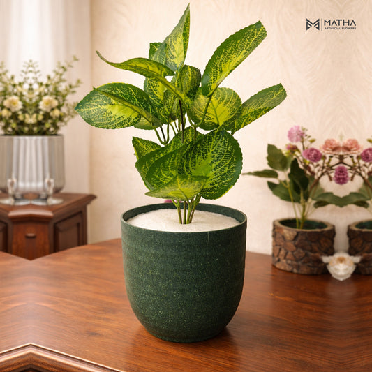 Leaf Pot | 12 Inch