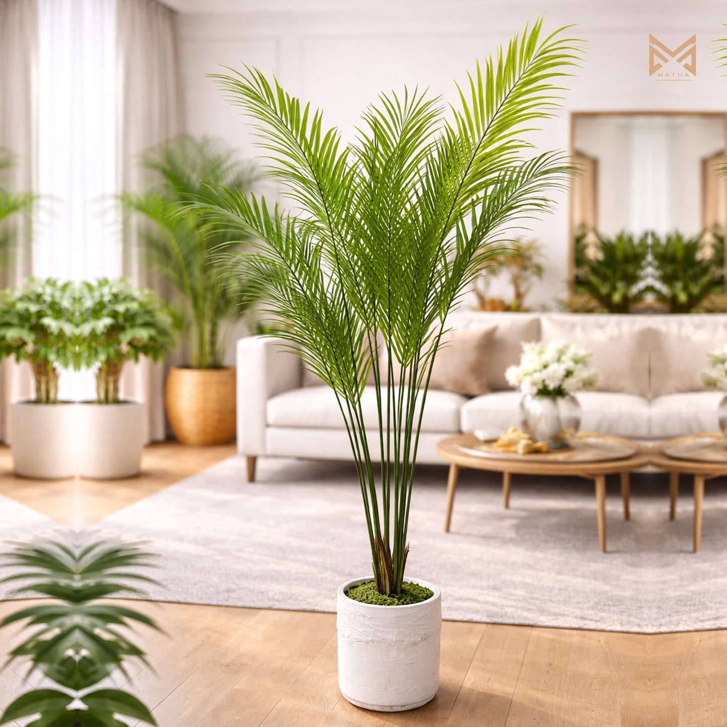 Palm Plant 4.5Ft