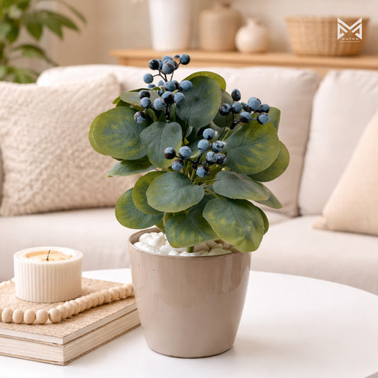 Blueberry Bonsai Pot