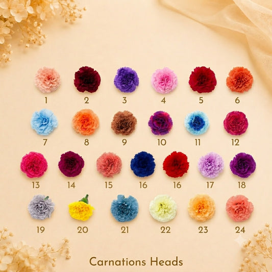Carnation Heads